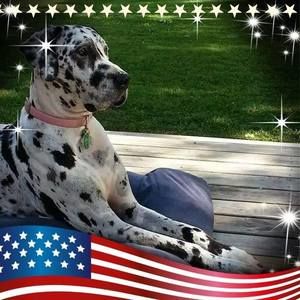 Meet your Posher, Deanna